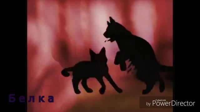 Коты воители Бич смотреть онлайн