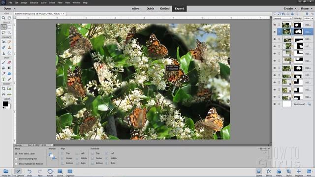 How You Can Make Butterfly Photo Frame in Photoshop Elements with Layers and Layer Masks смотреть онлайн