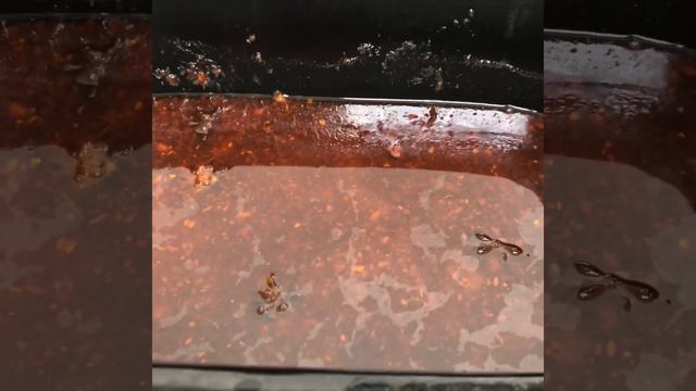 Braised ginger beef ribs смотреть онлайн