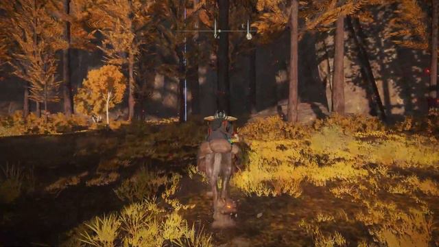 Elden Ring - Lost Ashes Located In Sage's Cave смотреть онлайн