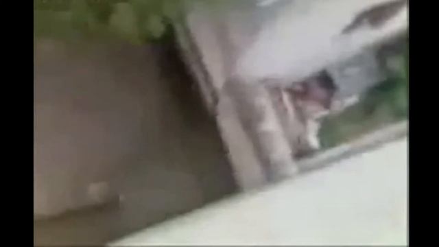 Вот на эту крышу ты прыгаешь да. Нежданный свидетель на свадьбе. Прикол. Баян. смотреть онлайн