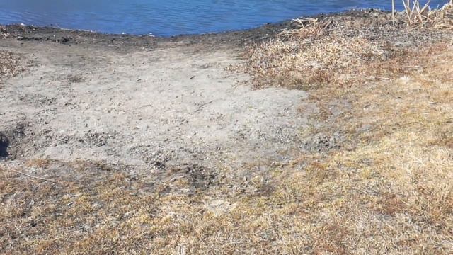 обмелела река смотреть онлайн