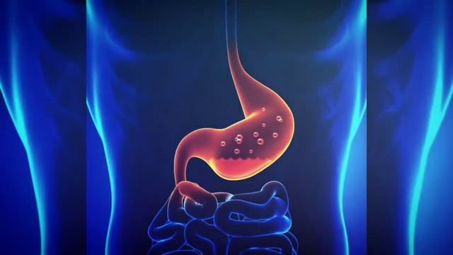 Сихр в желудке, кишечнике, толстой кишке. Сихр съеденный (маъкуль) и выпитый (машруб)