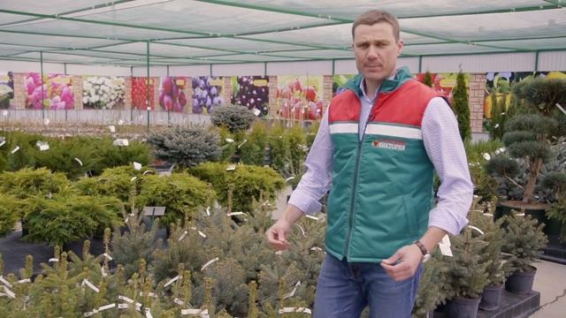 На северо-западе Челябинска открылся крупный садовый центр смотреть онлайн