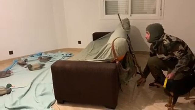 Сезон охоты открыт, но на улицу нельзя выходить смотреть онлайн