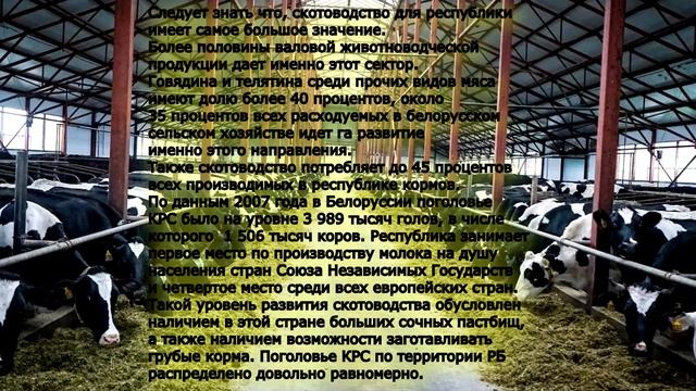 Животноводство на территории РБ (этнография) смотреть онлайн