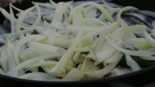 Пушистые Приключения в 4K