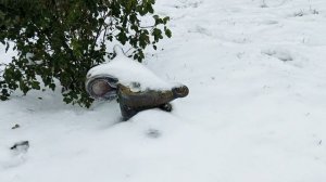 Удивительный город Козельск Калужской области