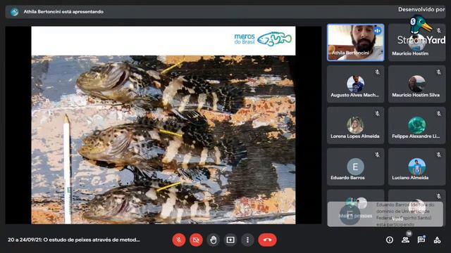 Foto ID de peixes смотреть онлайн