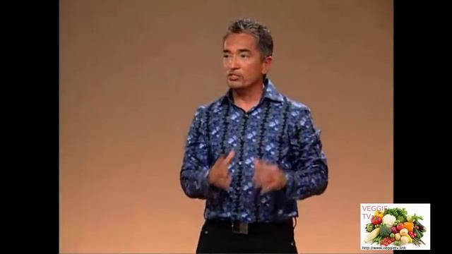 Cesar Millan's (dog whisperer) Master Leadership смотреть онлайн