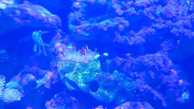 море смотреть онлайн