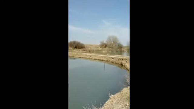Наши пруды рыболовная база Веселая акула смотреть онлайн