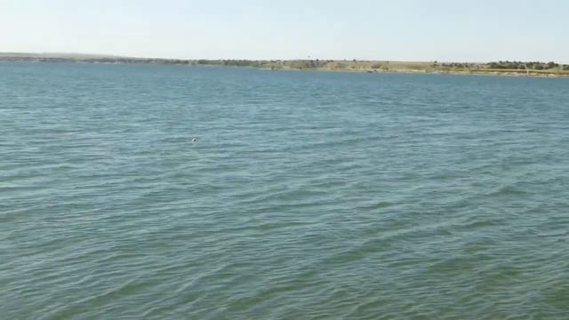 Lowrance Fish Hunter 3D review in action at the lake смотреть онлайн