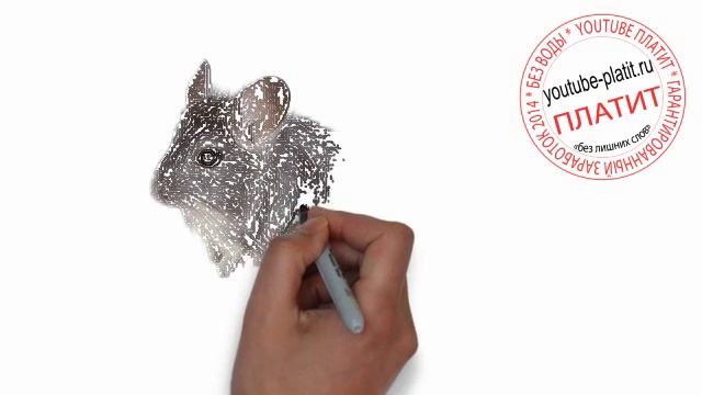 Нарисованные карандашом мышки Как нарисовать настоящуюю серую мышку смотреть онлайн