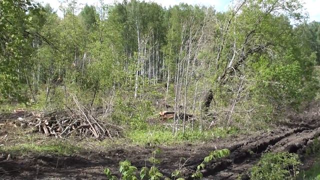 вырубка леса у деревни Алагуз Кигинского района РБ часть 1 смотреть онлайн