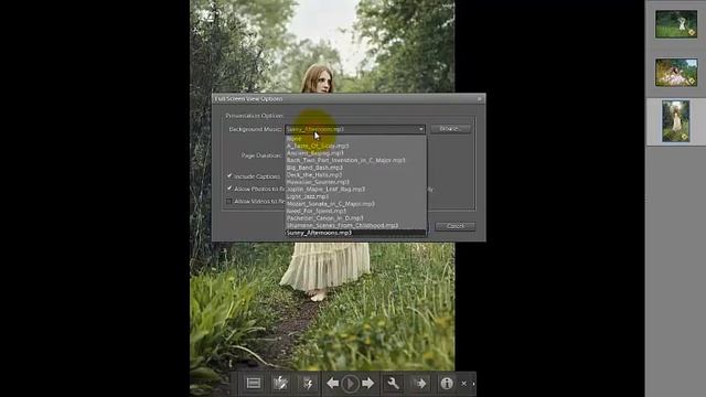 How to Use Elements Organizer in Photoshop Elements 6-10 Part 2 смотреть онлайн
