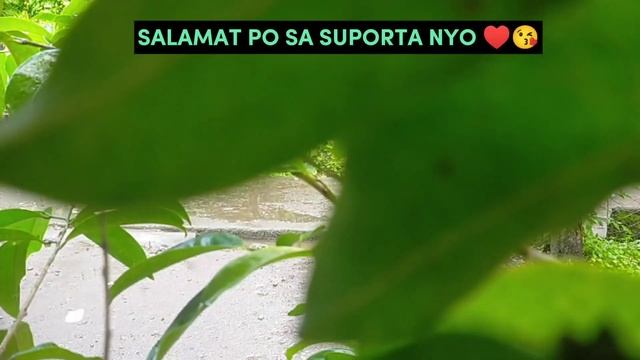 FPJ's Batang Quiapo | Episode 188 (1/3) | November 3, 2023 смотреть онлайн