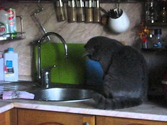 Jessie And Dripping Water.