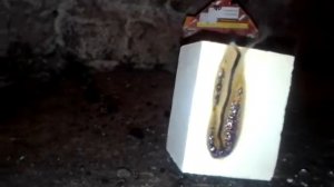 Как запалить серную шашку в погребе