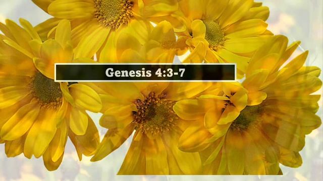 I Will Not Compare My Achievements Or Gifts To Those Of Others смотреть онлайн