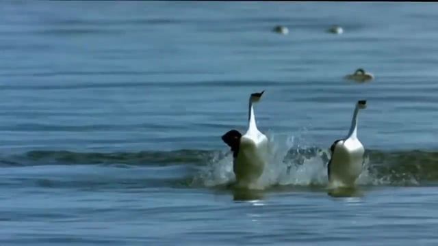 ПОЗИТИВЧИК.mp4 смотреть онлайн