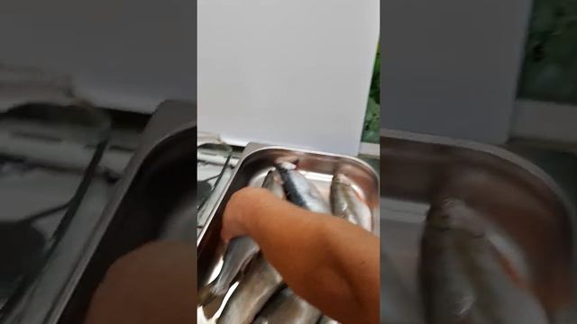 как быстро разделать гольца смотреть онлайн