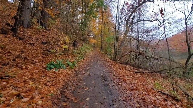 Autumn Morning Walk - Hendrie Valley Via Cherry Hill Gate смотреть онлайн