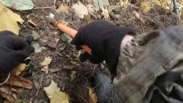 Интроник СТФ лучший по домонголу.mp4 смотреть онлайн