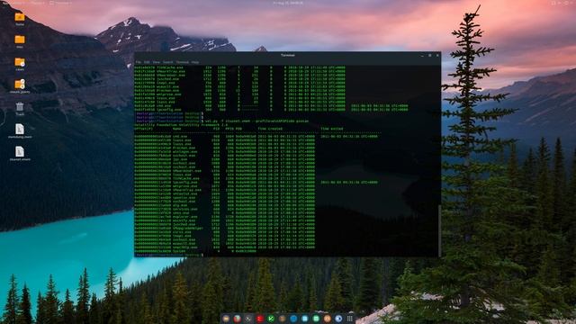 Windows Memory Analysis смотреть онлайн