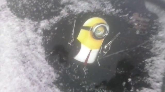 Покупка Первого Моего Таза смотреть онлайн