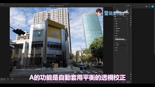 【iOS 14】 iPhone 12 Pro專屬的ProRAW有什麼厲害 | 教您Apple ProRAW 搭配業界最專業的 Photoshop 來進行後製 | 蕾萌紫 смотреть онлайн