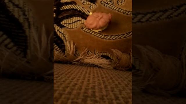 Секреты Мастеров Ремонта