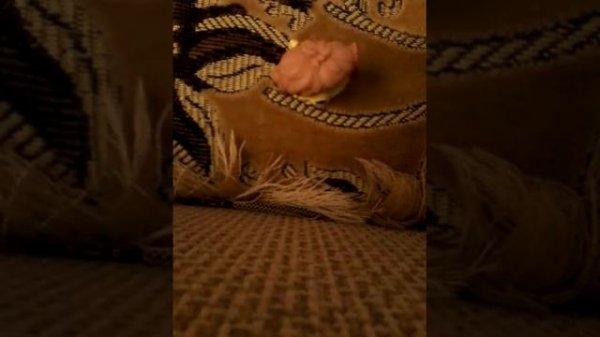 Что такое ник?