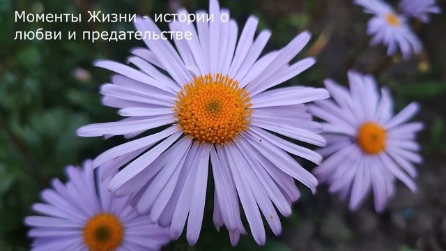 ? Родственики и друзья пользовались тем что я торгую на рынке и давали мне ... смотреть онлайн