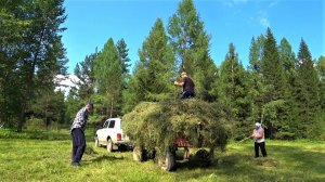 Опять на сенокосе