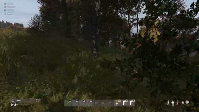 DayZ / Рейд базы и защита соседей / ЧИТЕР смотреть онлайн