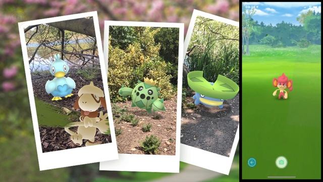 How to Take Snapshots of Wild Pokémon in Pokémon Go for the New Pokémon Snap Celebration смотреть онлайн