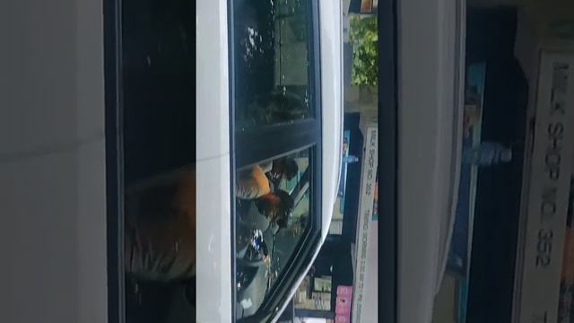 CRETA Vs CRETA Part Three From CLASSIC RAMESH NAGAR 9818935777