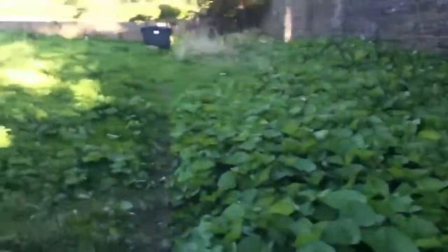 The manor airsoft site small fallback game. Pt 2 смотреть онлайн
