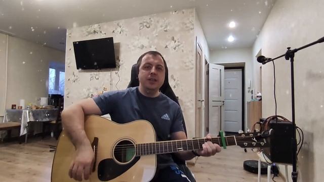 Алексей Глызин Зимний сад #кавер#нагитаре