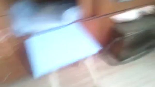 3 корма которыми можно кормить беременную кошку или кошку с котятами смотреть онлайн