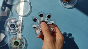 Анимационные спиннеры