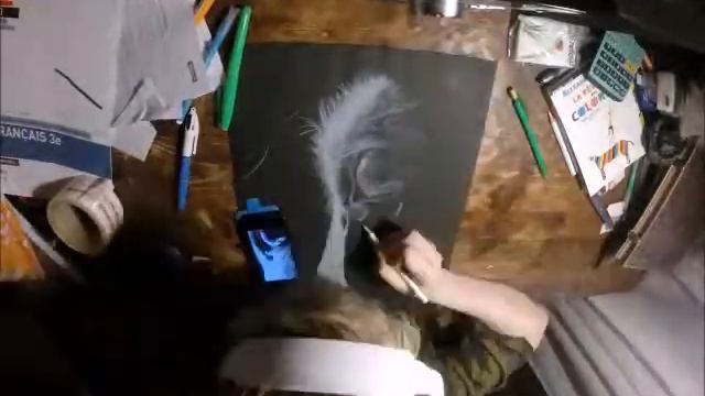Œil de cheval ( crayon blanc sur feuille noire) смотреть онлайн