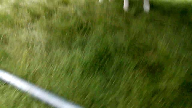 Злой щенок смотреть онлайн