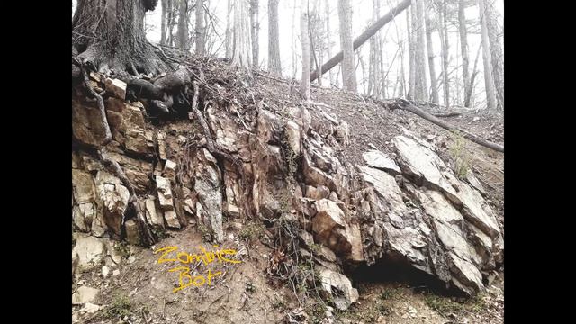 Zombie Bot-Doom Gnarly (2020) Album Taurine Doom Electro-Synth смотреть онлайн