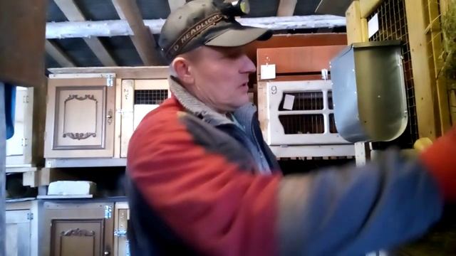 Кормим кроликов берёзовыми вениками смотреть онлайн