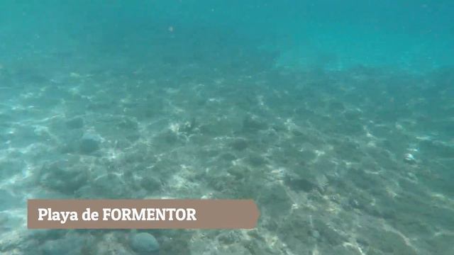 Mallorca 2019 (Пальма-де-Майорка 2019) смотреть онлайн