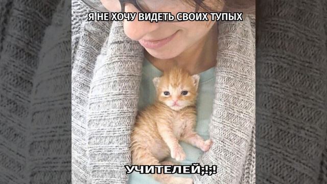 1000001896.mp4 смотреть онлайн