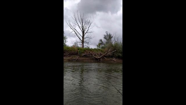 Рыбалка на малой реке Татарстана смотреть онлайн