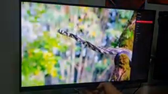 Monitor LG 4k 27 27ul650-W Review - Não compre antes de ver esse vídeo! смотреть онлайн